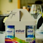 estuz[1]